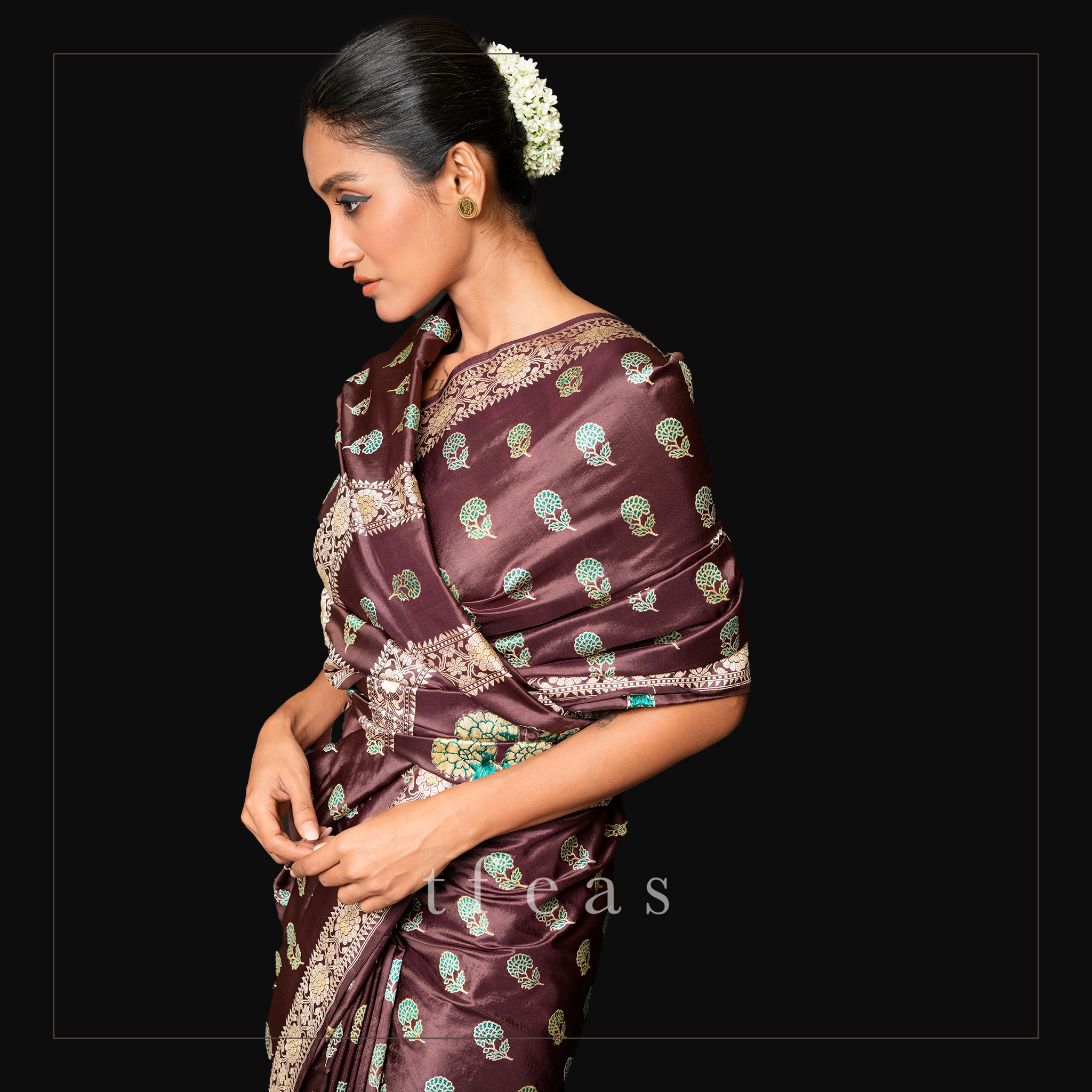 Brown Revival Baluchari Saree