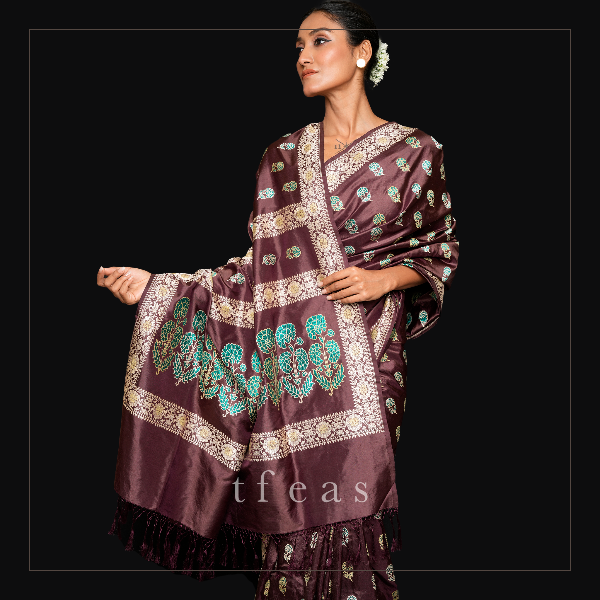 Brown Revival Baluchari Saree