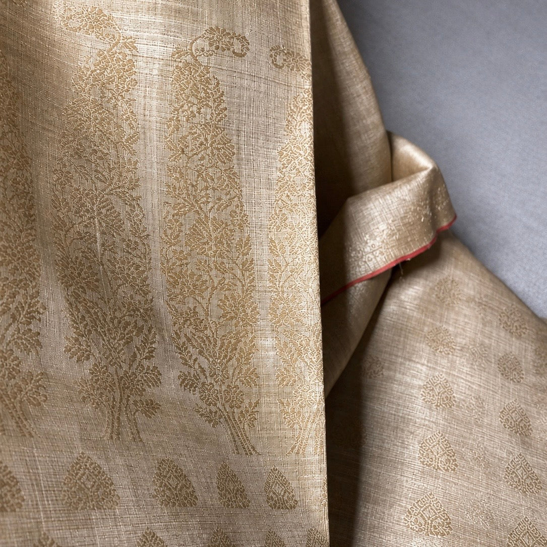 Pure Muga Saree with Muga Paisleys in the Palla and Red Selvedge