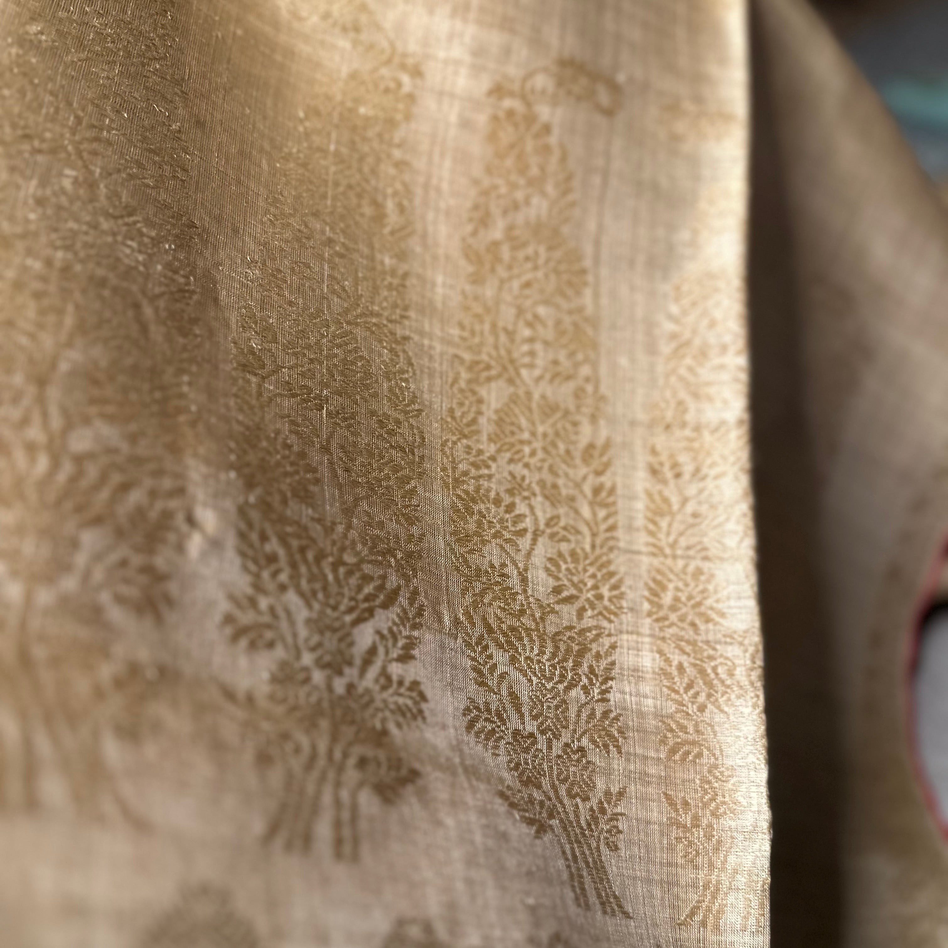 Pure Muga Saree with Muga Paisleys in the Palla and Red Selvedge
