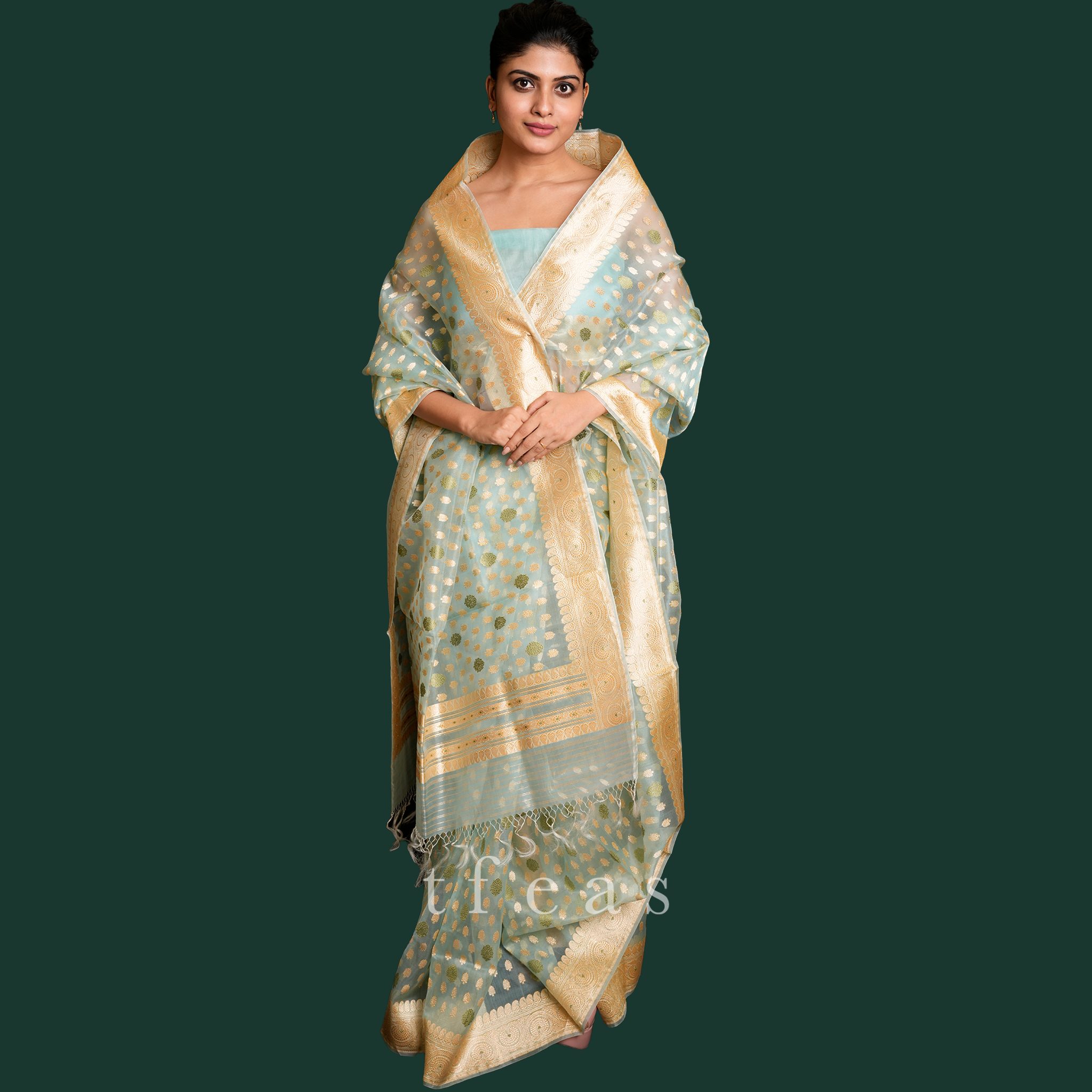 Powder Blue Kora Khadwa Benarasi